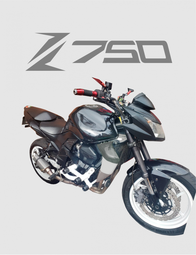 Stunt Cage Z750 KAWASAKI